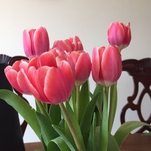 Meet your Posher, Denise